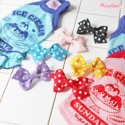 POLKAPOLKAHAIRBOW_1.jpg