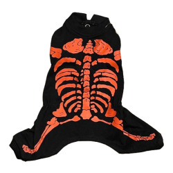 skelton_1_1.jpg