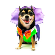 DogulaCostume.jpg