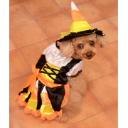 HalloweenCandyCornWitch_1.jpg