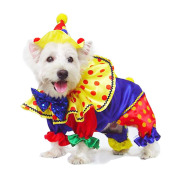 ShinyClownCostume_0.jpg