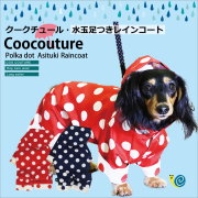 rain_4paw_0.jpg
