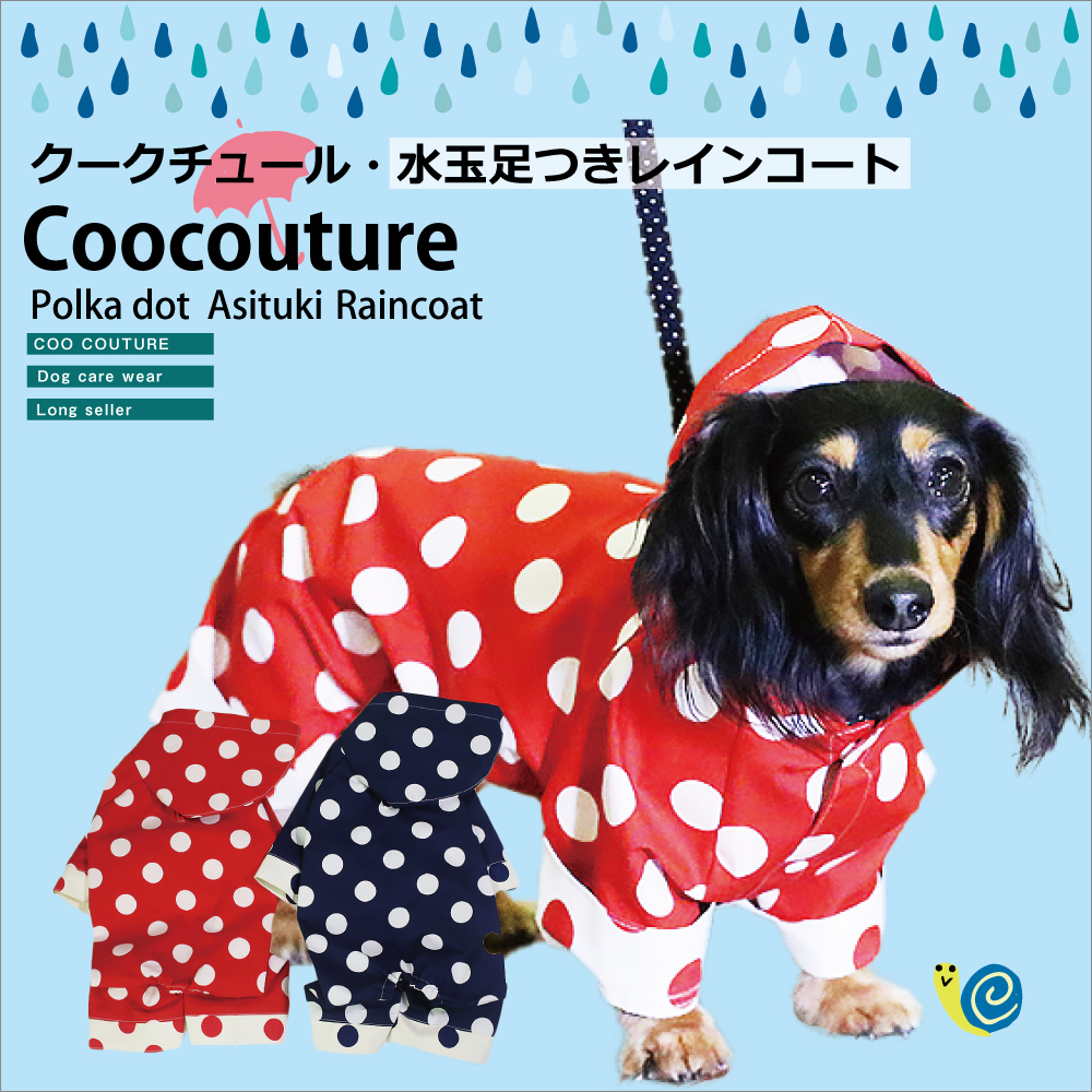 rain_4paw_0.jpg