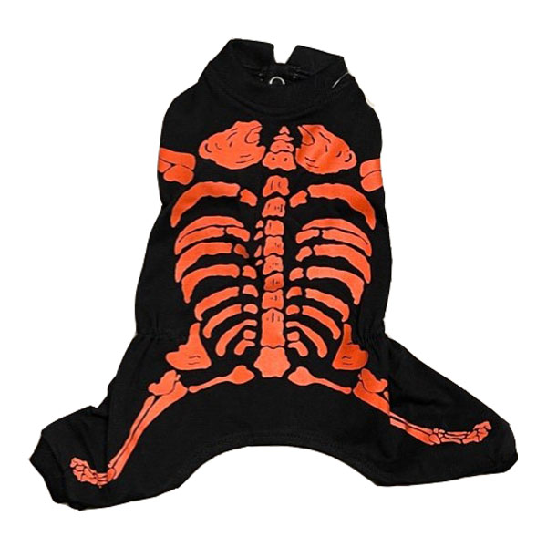 skelton_1_1.jpg