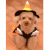 HalloweenCandyCornWitch_3.jpg