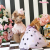 LITTLESTARS_5.jpg