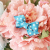 POLKAPOLKAHAIRBOW_8.jpg