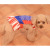 WonderDog_2.jpg