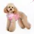 easygo-multi-ruffle-dog-2.webp