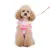 easygo-multi-ruffle-dog-7.webp