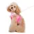 easygo-multi-ruffle-dog-8.webp