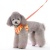 easygo-sweet-flower-dog-2.jpg