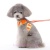 easygo-sweet-flower-dog-3.jpg