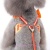 easygo-sweet-flower-dog-5.jpg