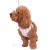 easygo_sweetbow_dog1.jpg