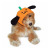 pumpkinhat_2.jpg