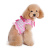 snapgo-sweetbow-lady-dog-2.jpg