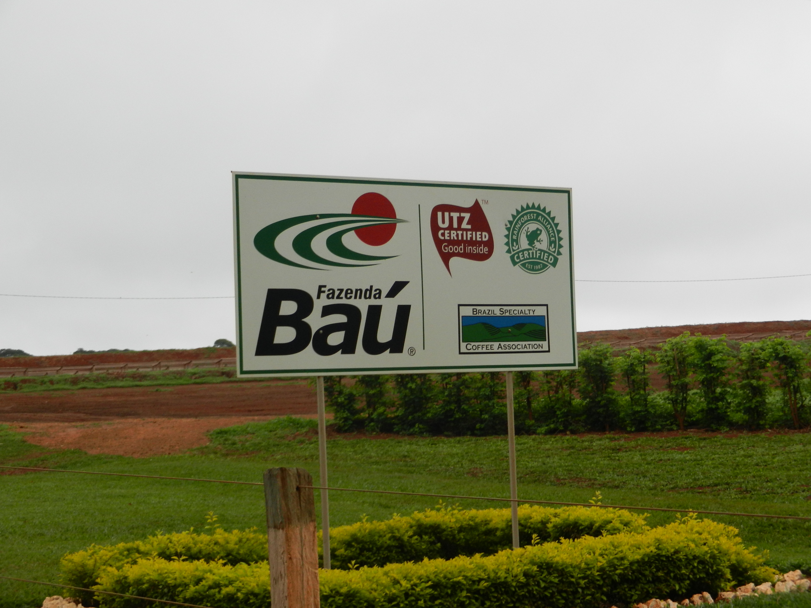 ブラジル　バウー農園