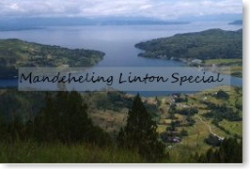 マンデリン　リントンスペシャル