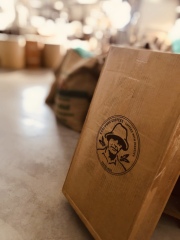 コスタリカ　ハニーコーヒー