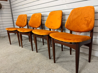 【comingsoon!】2月23日 倉庫オープンデイにて 倉庫限定販売 EON DINING CHAIR ItemCode-WOLD9a