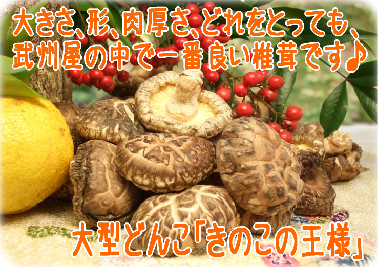 �����롡���������������ɤ�