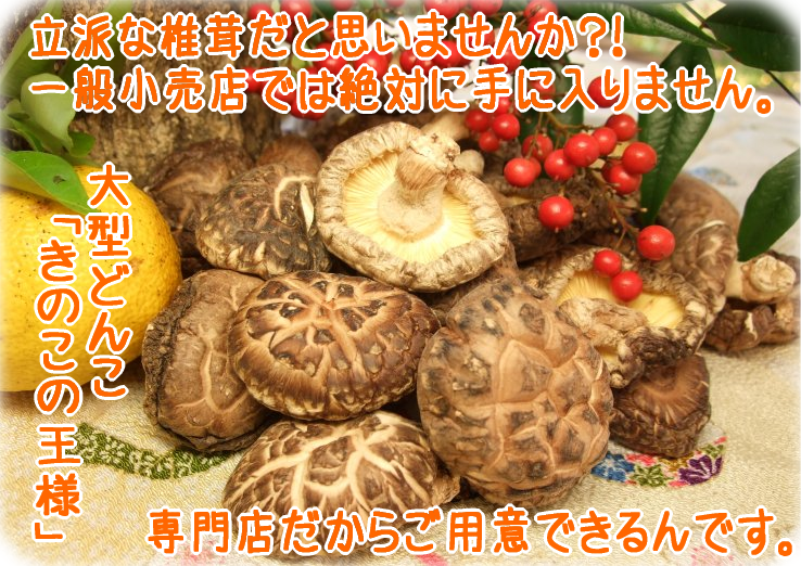 �����롡���������������ɤ�