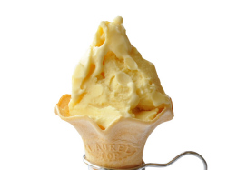 ����󥸥��㡼�٥å�