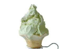 ����������ɤ������顼��