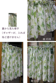 �ʥ�����ȥ饹�ȼ� ����������