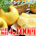 �Ŀ� ��� �ڥ��ʥΥ������5kg�ץ�ߥ���ۡ�14��23�̡ˡ�����̵�� ��[���������ء�����ľ��]