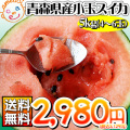 ������̵�����Ŀ� ���� ������ ���� ���Ŀ��������̥�����5kg��