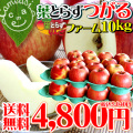 2010�դȤ餺�Ĥ���