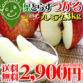 2010�դȤ餺�Ĥ���