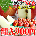 2010�դȤ餺�Ĥ���