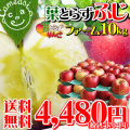 �դȤ餺�դ��ե�����10kg