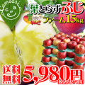 �դȤ餺�դ��ե�����15kg