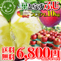 �դȤ餺�դ��ץ�ߥ���10kg