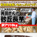 ��Ĺ��辰���꣱�����ۢ�����̵����