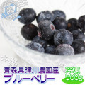 �������ࡡ����֥롼�٥꡼