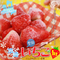 �����त���� 1kg��[��4�Ĥޤ�Ʊ����/����ľ��Ʊ���Բ�]