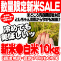 �ڿ��ƤĤ�����ޥ󣱣����ۢ�����̵����