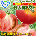 ¶�Ĥ��󡡥ȥޥ�