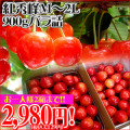 ��ʤ��󡡹Ƚ���
