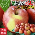���դȤ餺�դ�����硡�ץ�ߥ����[������ľ���ʤΤ���Ʊ���Բ�]