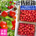 �Ŀ����� �������� ���� �ڤ������� ��ƣ��LM��450g��2P�ۢ�����̵����