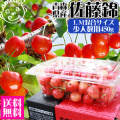 �Ŀ����� �ڤ������� ��ƣ��LM��450g�ۢ�����̵����