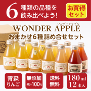 青森県産　無添加　りんごジュース　ＷＯＮＤＥＲ ＡＰＰＬＥ １８０ｍｌ　１２本入れ【お中元】