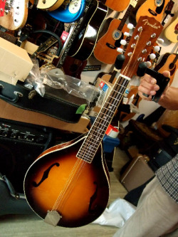 �Х󥸥硼���ޥ�ɥ�����ѥϥ󥬡� �ɳݤ��ѥեå�For Banjo,Mandolin