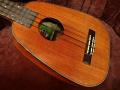 Antar Pineapple Ukulele��KOA �ޥ�����ܲ�ǽ���� ������ñ�� �����Ǻࡡ�ѥ��ʥåץ륦����� ��